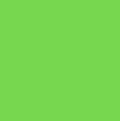 Avery 5565 Lime Green