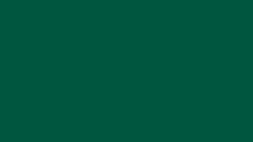 Viponds Feature Gloss Enamel - State Green