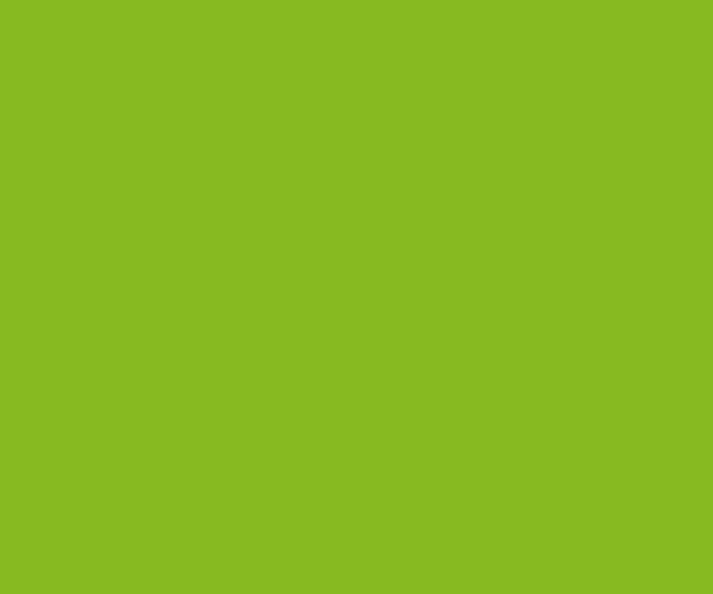 Image Perfect 5754 Lime Gloss