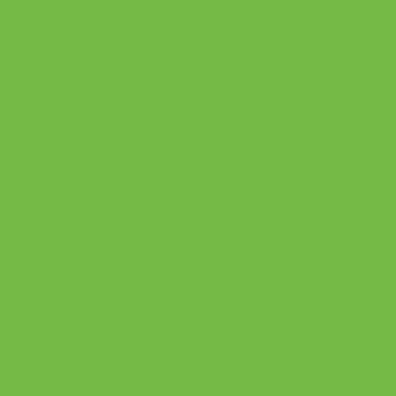 Arlon 5800X 941 Lime Green