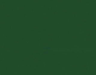 Arlon 2500SL 76 Holly Green Translucent