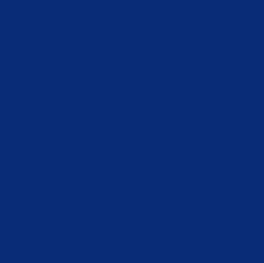 Avery 939 Royal Blue (PMS 288C)